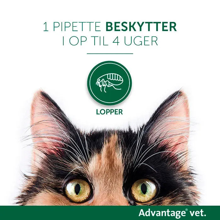 ADVANTAGE VET Loppemiddel kat over 4 kg - 4x0,8 ml