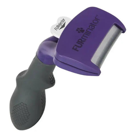 Karte kort hår kat medium/large