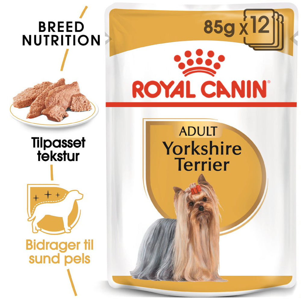 Adult, menuboks pouchYorkshire Terrier 12x85 g