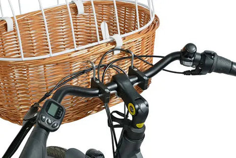 Cykelkurv m/gitter Front op til 5 kg piletræ
