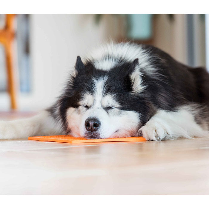 LickiMat OrginalL 28 cm orange