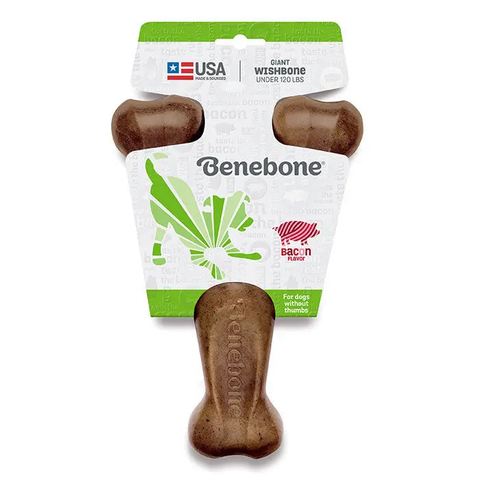 Wishbone bacon giant