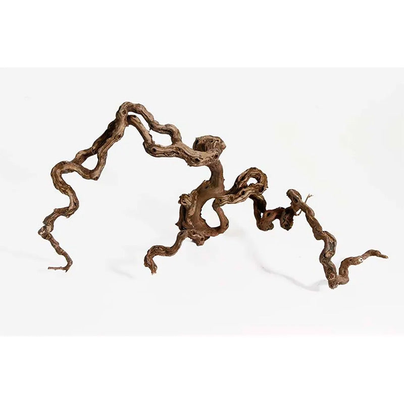 Winewoodm 40-70 cm