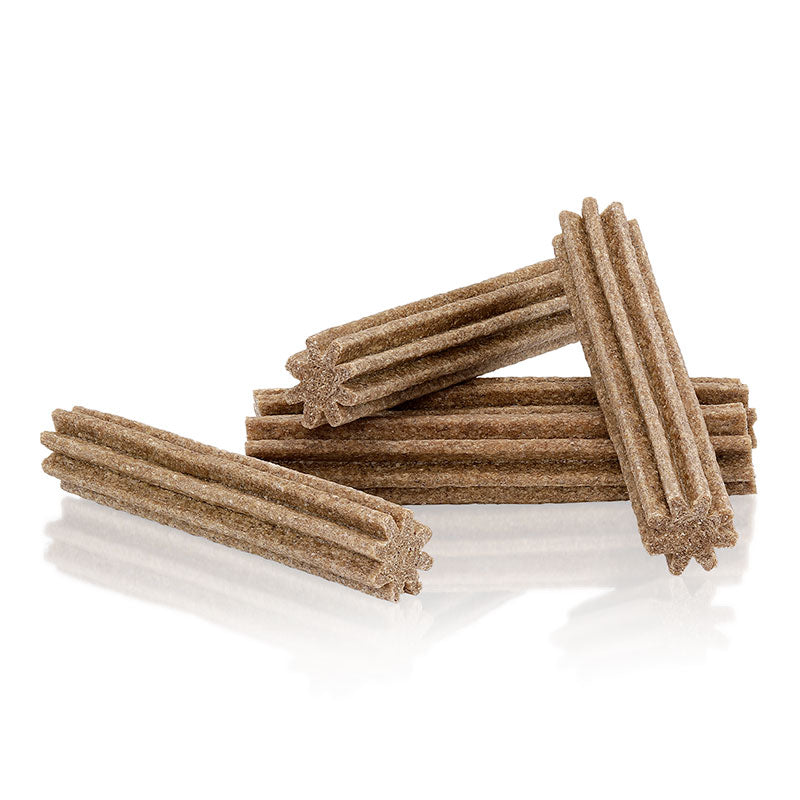 PROBIOTICS AND CINNAMON TEETH DELIGHTS
